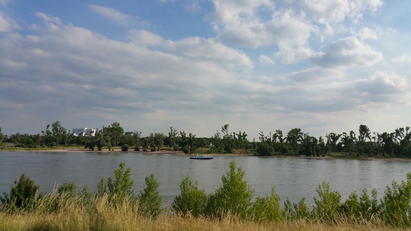 2015-06-15 18.48.27.jpg