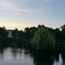 2015-06-15 21.38.04.jpg