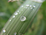IMG_2366.JPG